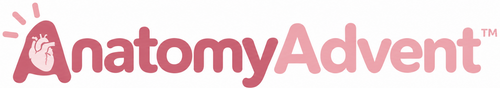 HollyLume™