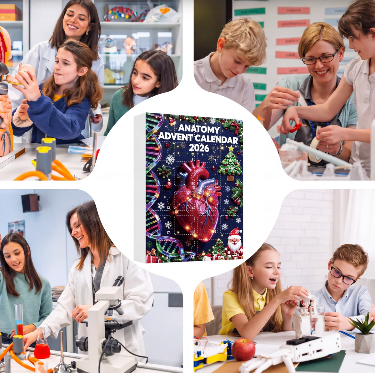 Anatomy Advent Calendar
