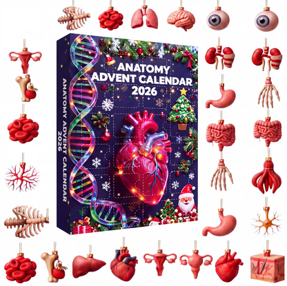 Anatomy Advent Calendar