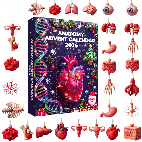 Anatomy Advent Calendar